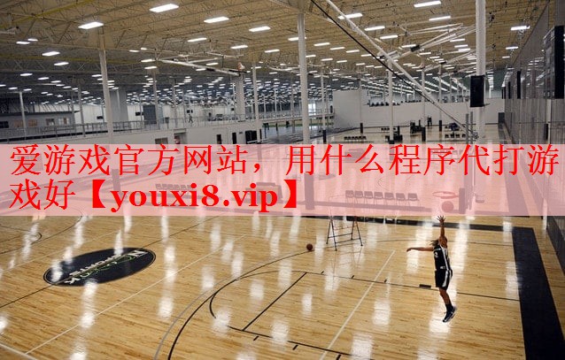 爱游戏官方网站，用什么程序代打游戏好