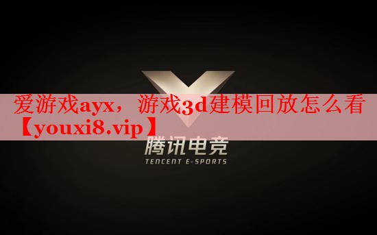 爱游戏ayx，游戏3d建模回放怎么看