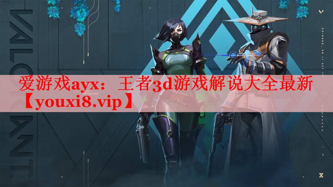 爱游戏ayx：王者3d游戏解说大全最新